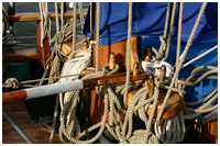 Jagt Die Zwillinge von Kappeln