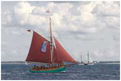 Jagt Ellen