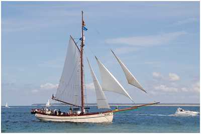 Pommersche Jagt Hoffnung