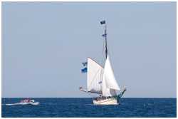 Pommersche Jagt Hoffnung