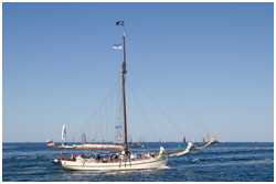 Pommersche Jagt Hoffnung