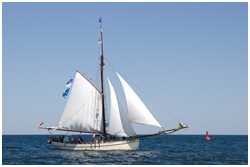 Pommersche Jagt Hoffnung