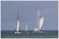 Pommersche Jagt Hoffnung