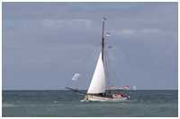 Pommersche Jagt Hoffnung