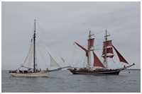 Pommersche Jagt Hoffnung