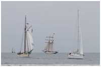 Pommersche Jagt Hoffnung