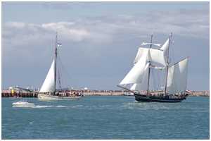 Pommersche Jagt Hoffnung