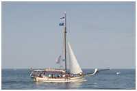 Pommersche Jagt Hoffnung