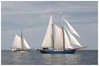 Pommersche Jagt Hoffnung