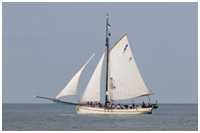 Pommersche Jagt Hoffnung