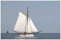 Pommersche Jagt Hoffnung