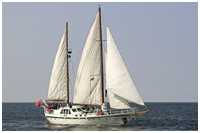 Holland-Klipper Sabia