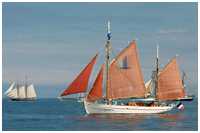 Gaffelketsch Notre Dame des Flots