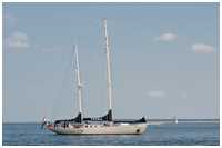 Stagsegelketsch Urania