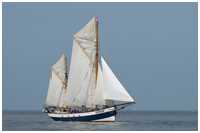 Heringslogger Belle Amie