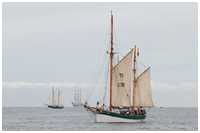 Hanse Sail 2019