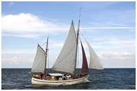 Hanse Sail 2006