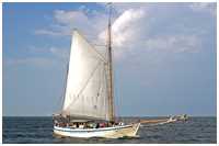 Hanse Sail 2006