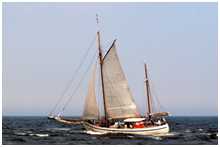 Hanse Sail 2007