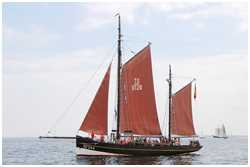23. Hanse Sail Rostock vom 8.-11. August 2013