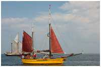 Hanse Sail 2010