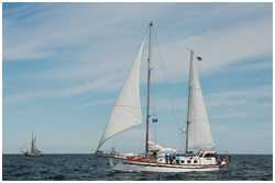 Hanse Sail 2012