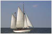16. Hanse Sail Rostock vom 10.-13. August 2006