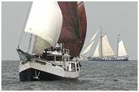 Hanse Sail 2006