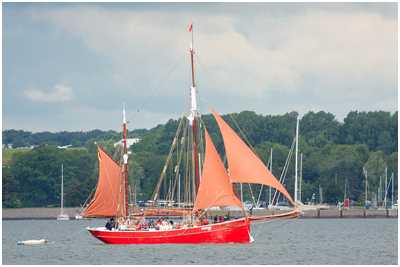 Gaffelketsch Platessa