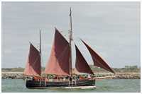Hanse Sail 2008