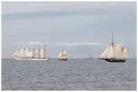 Heringslogger Vegesack BV2