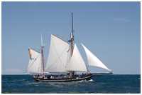 Heringslogger Vegesack BV2