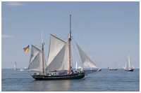 Heringslogger Vegesack BV2