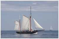 Heringslogger Vegesack BV2