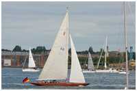 8mR Germania IV