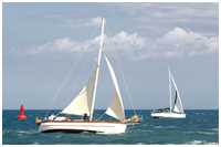 Thekla von Schele