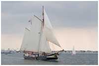 Hanse Sail 2013