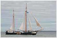 Hanse Sail 2016