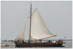 Hanse Sail 2005