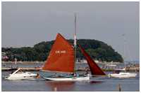 Austernsmack Betty CK145