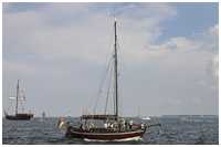 Treibnetzkutter Biber 3