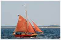 Cornish Crabber Charlotte