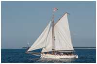 Hanse Sail 2014