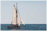 Hanse Sail 2014