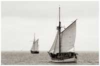 Hanse Sail 2016
