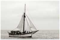 Hanse Sail 2016