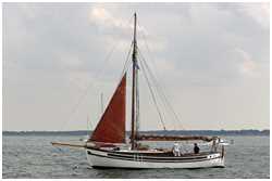 Hanse Sail 2006
