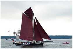 21. Hanse Sail Rostock vom 11.-14. August 2011