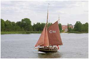 Hanse Sail 2009