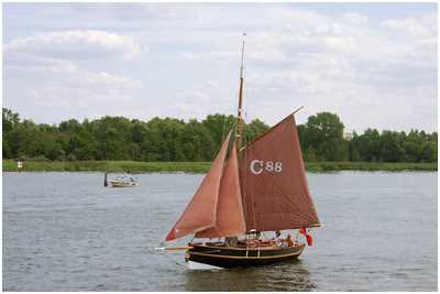 Cornish Crabber Mavrodaphne